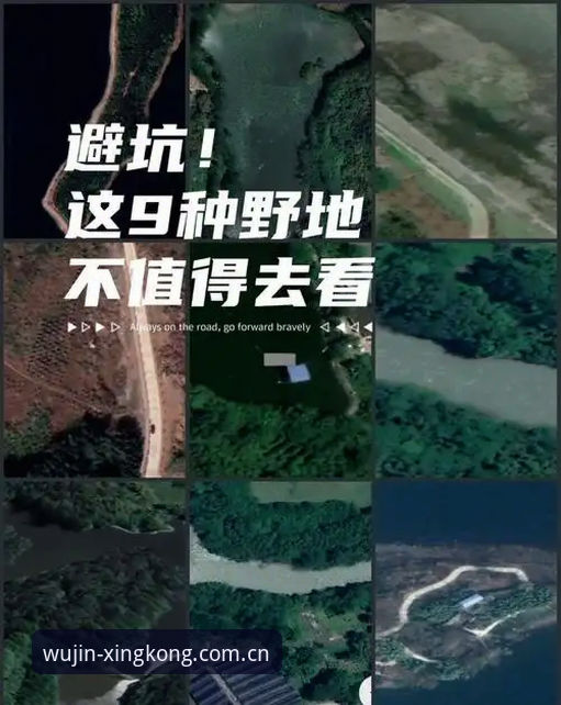 星空体育平台2025新版深度分析：探索无尽灵感下载避坑指南与数据实测