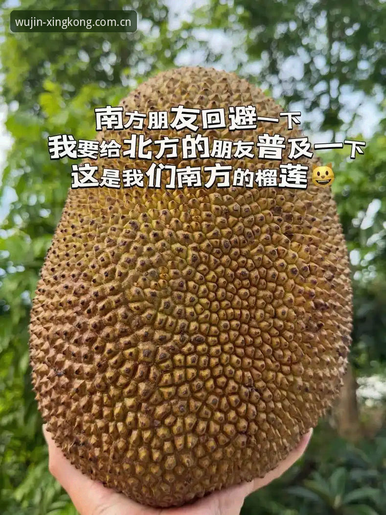 探索无尽灵感V2网页版 去年秋天,我一个做自媒体的朋友郑磊,半夜发来一条语音消息,语气里带着明显的烦躁。他在剪辑一批体育集锦素材,需要从不同平台、不同格式的源文件中提取片段。结果呢?一个3.7GB的MP4从某盘下载完,发现只有前半段能看,后半段直接黑屏,进度条拖过去就是转圈。他试了三个所谓“万能播放器”,两个识别不了编码,一个流畅播放但音画不同步——差了整整0.8秒。他骂了一句,又去翻另一个平台重下。那晚他折腾了快两个小时才把素材凑齐。我当时就问他:你就没有一个统一的、靠谱的工具来处理这些?他沉默了一会儿,说“有是有,但之前那个网页版体验太差了,加载慢,文件大了直接崩。”后来他给我发来一个链接,说“试试这个V2版,感觉像换了个软件。”那个链接,就是“XINGKONG星空CN · 探索无尽灵感”的V2网页版。